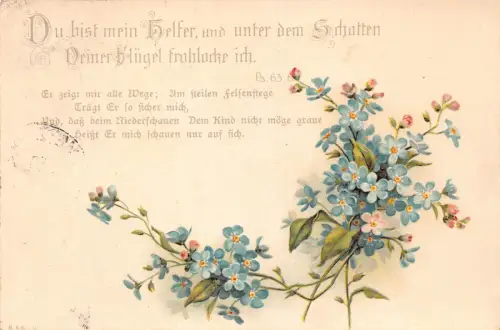 B259 Freundschaftsgrüße 1906 Vergissmeinnicht Blumen Vintage Postkarte