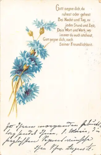 B258 Freundschaftsgrüße 1905 blaue Kornblumen Postkarte