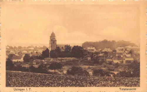 B262 Deutschland 1926 Usingen i T Gesamtansicht alte Postkarte
