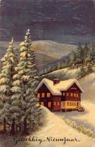 Niederlande 1953 Neujahr Gellukkig Nieuwjaar Haus Kiefer Schnee Postkarte