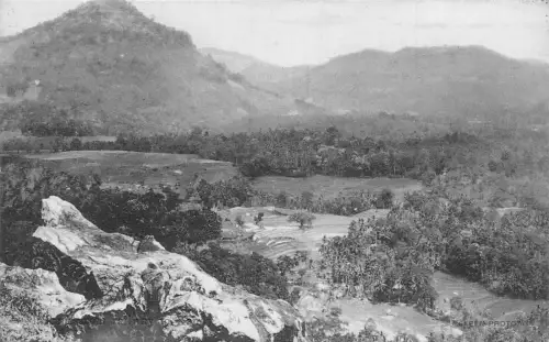 L380 Ceylon Sri Lanka Eisenbahn nach Kandy Wald Vintage Postkarte
