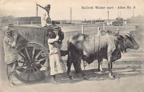L380 Jemen Aden Bullock Wasserkarte Jungen Trachtenkleidung Vintage Postkarten
