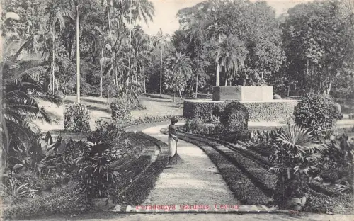 L380 Ceylon Sri Lanka Paradeniya Gardens Woman Sweing Vintage Postkarten
