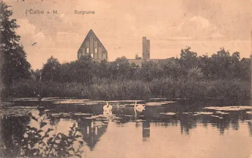 A153 Deutschland Calbe a M Burgruine Zitadelle Ruine Vintage Postkarte
