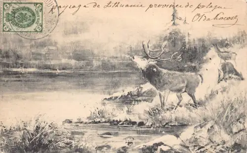 A149 Künstlerkarte 1904 Rehe Hirsch bei Fluss Kiefer Vintage Postkarte