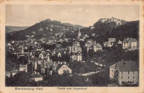 A148 Deutschland 1934 Blankenburg Harz Total vom Ziegenkopf Gesamtansicht AK