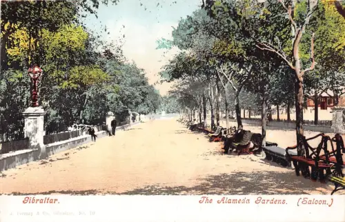 L256 Gibraltar Die Alameda Gärten. (Limousine.) alte postkarte