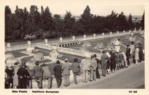 L250 Brasilien São Paulo Instituto Butantan Vintage Postkarte