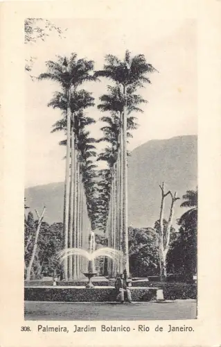 L251 Brasilien Palmeira, Jardim Botanico Rio de Janeiro. alte postkarte