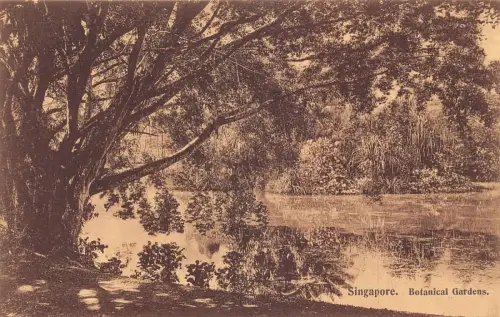 L254 Botanischer Garten Singapur Postkarte