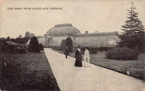 L238 England The Great Palm House Kew Gardens Vintage Postkarte