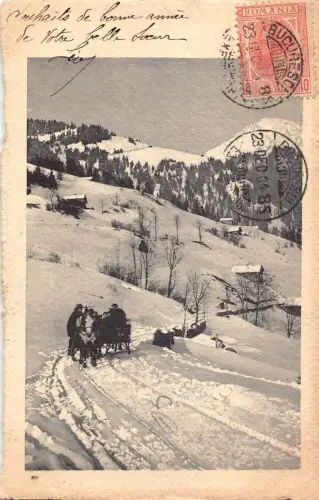L412 Rumänien 1904 Winterlandschaft Pferdeschlitten Vintage Postkarte