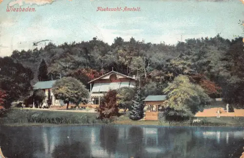 Deutschland 1909 Wiesbaden Fischzucht Anstalt Angelpons Vintage Postkarte