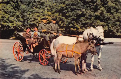 Familie in Kutsche gezogen von drei Pferden Vintage Postkarte