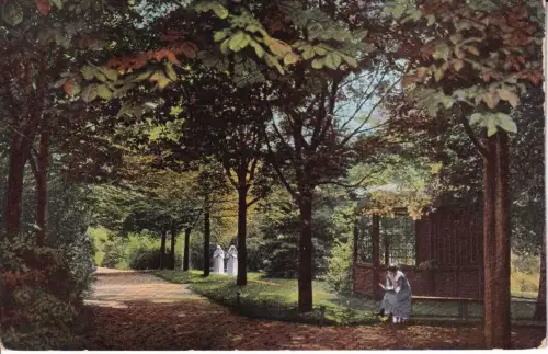 Deutschland 1917 Pensionat Arenberg Kastanienallee alte Postkarte