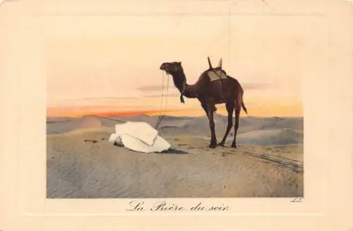 Tunesien Szenen et Typen La Priere du Soir Kamel Dessert Beduinen betende Postkarte