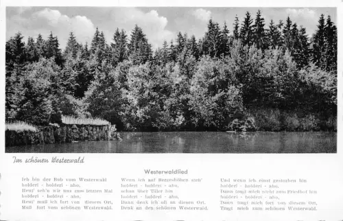 Deutschland 1962 Im Schoenen Westerwald Wald Gedicht Vintage Postkarte