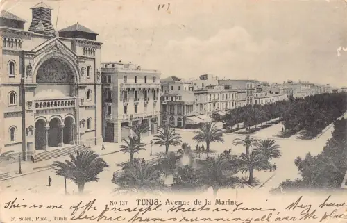 Tunesien Tunis 1905 Avenue de la Marine Vintage Postkarte