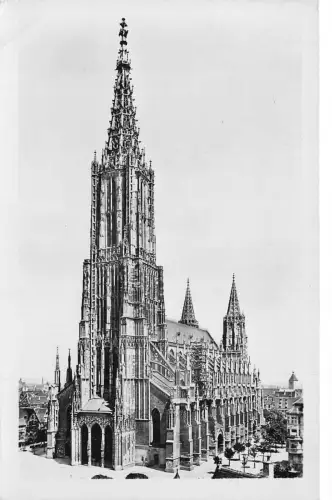 Deutschland Dom in Ulm ad Donau Vintage Postkarte