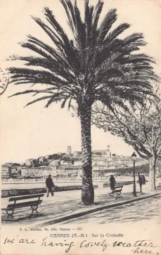 Frankreich 1910 Cannes Sur la Croisette Baumbänke Vintage Postkarte