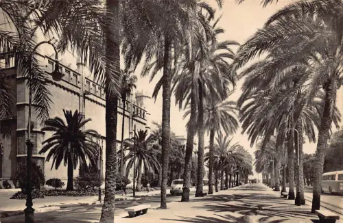 Spanien Palma de Mallorca Promenade Sagrera et Lonja Vintage Postkarte