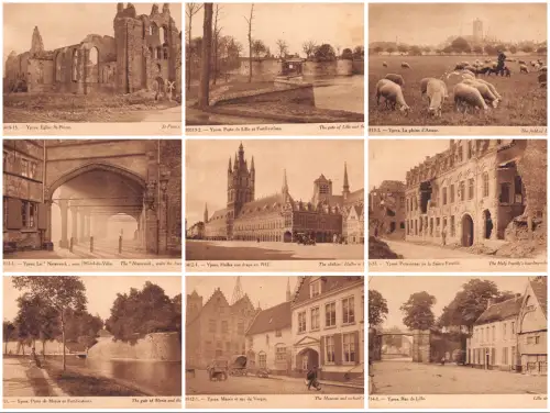 Belgien Ypern Kirche Schaf Hotel de Ville etc Lot 9 Postkarten C340