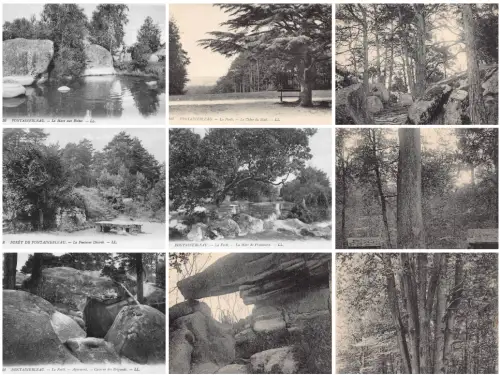 Frankreich Fontainebleau Wald Landschaften Natur Lot 9 Postkarten C347