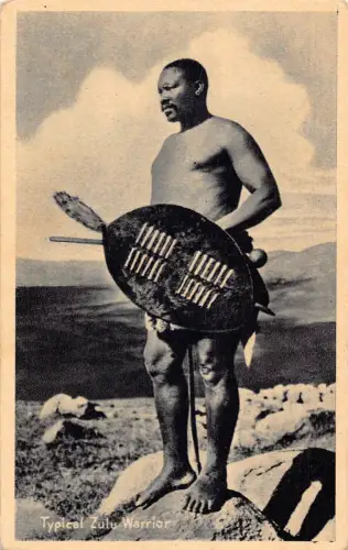 Südafrika typische Zulu Krieger Schild Vintage Postkarte