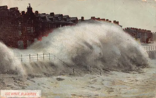 England 1909 Hundewelle Blackpool Vintage Postkarte