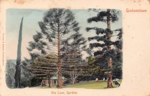 Südafrika Grahamstad Grahamstown Die Rasengärten Baum Postkarte