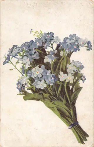 Russland 1916 Blumenstrauß Vergissmeinnicht alte Postkarte