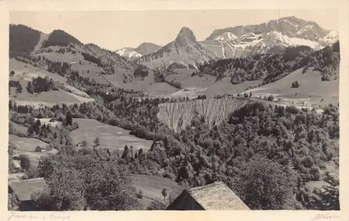 Schweiz Ravins de Saumont Berg Vintage Postkarte