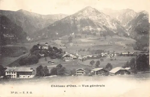 Schweiz Chateau d'Oex Gesamtansicht Berg Vintage Postkarte