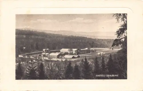 L324 Deutschland Kastell Saalburg Schloss Vintage Postkarte