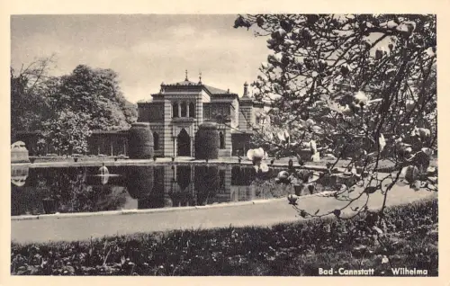 L322 Deutschland Schloss Cannstatt Wilhelma Teich Magnolie Blume Vintage Postkarte
