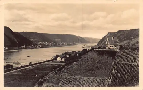 L321 Deutschland 1936 Rheinbergtal Häuser Weinberg Vintage Postkarte