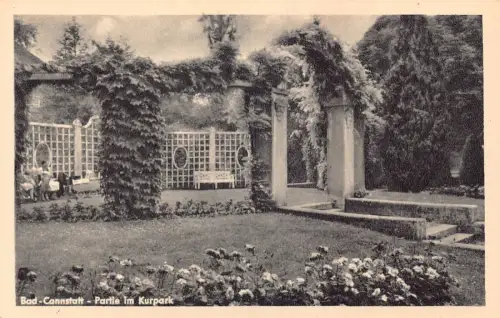 L322 Deutschland Bad Cannstatt Kurpark Garten Blumen Vintage Postkarte