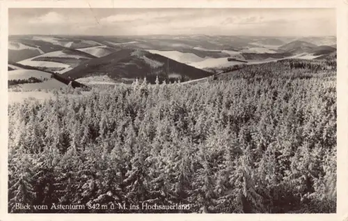 L321 Deutschland 1941 Astenturm 842 ins Hochsauerland Wald Vintage Postkarte