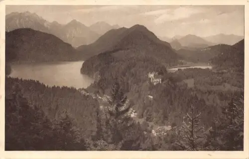 A076 Deutschland Hohenschwangau Blick von Jugend See Wald Vintage Postkarte