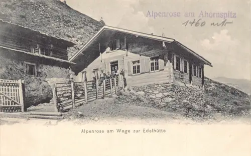 A075 Österreich Alpenrose am Wege zur Familie Edelhütte in aus Lodge AK