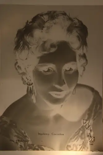 Vintage Glasnegativ Platte Glassnegative Ingeborg Cornelius