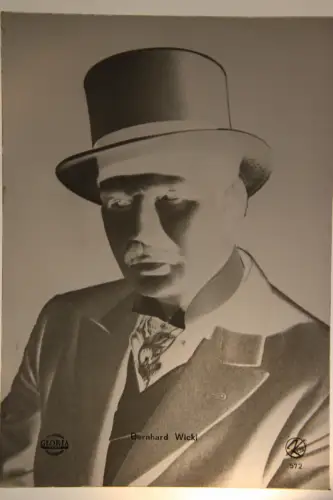 Vintage Glasnegativ Platte Glassnegative Bernhard Wicki