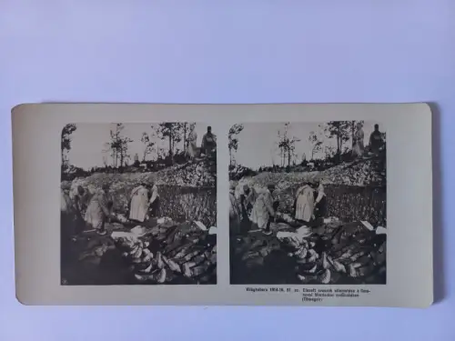 Antique Stereo Foto WW1 burial of fallen Russians in the Mordarkar forest in Lim