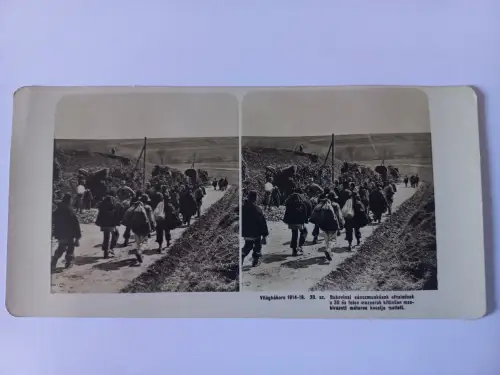 Antique Stereo Foto WW1 Bukovina rampart workers pass by the excellently camoufl