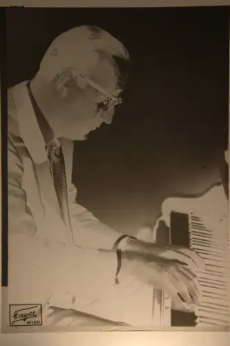 Vintage Glasnegativ Platte Glassnegative Friedrich Gulda