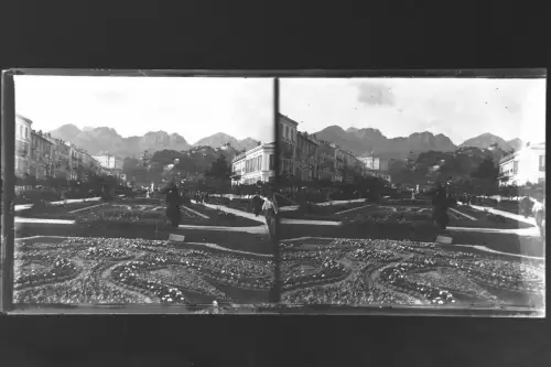 Antique Glass negative Stereo South France, Luxuriant Gardens of Mentone   1900s