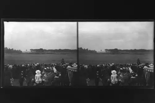 Antique Glass negative Stereo Horses, rider presents /?/  Germany 1900s
