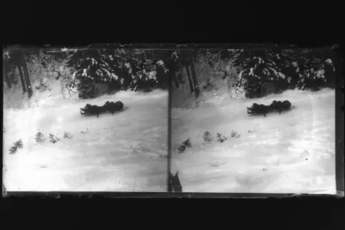 Antique Glass negative Stereo  Winter, Snow, Sledging  1900s