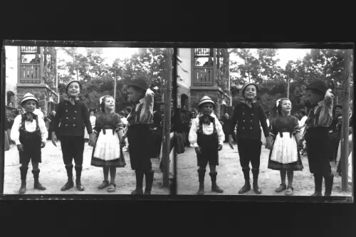 Antique Glass negative Stereo Garden Party, Hungary, hungarian life   1900s