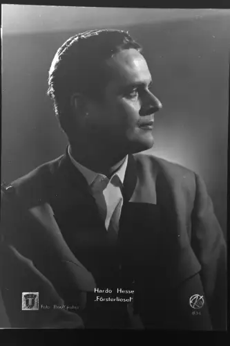 Vintage Glasnegativ Platte Glassnegative Hardo Hesse